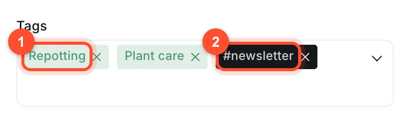 The Tags field in Ghost post settings showing a public primary tag and an internal tag starting with a hash